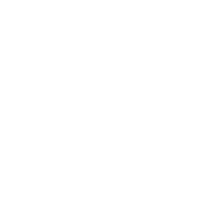  Expert Professionals