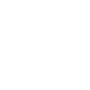  Expert Professionals